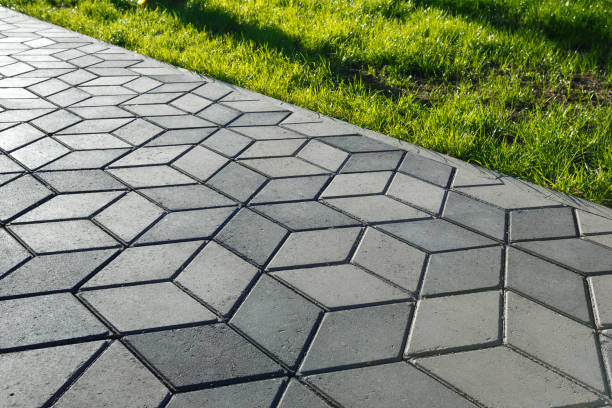 Best Driveway Pavers Contractor  in Arcadia, SC