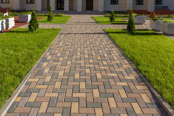 Best Professional Driveway Pavers  in Arcadia, SC