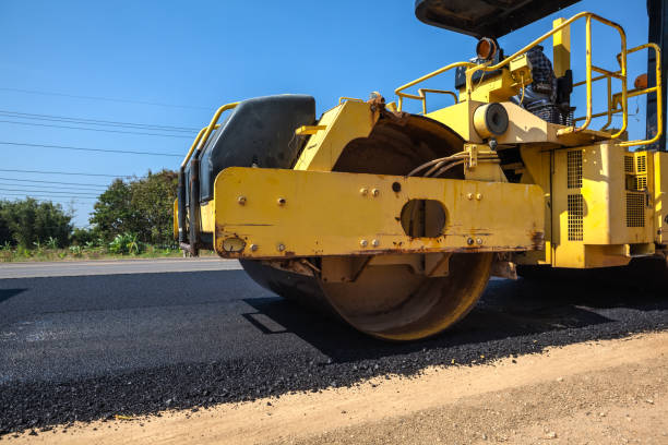 Best Local Driveway Pavers  in Arcadia, SC